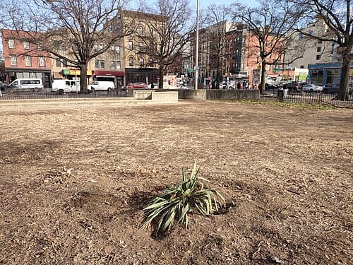 Macri Square (park in the United States of America)