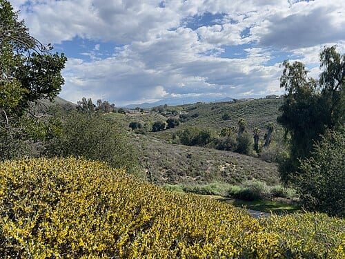 Warm Springs Park and Preserve View from Park Summit