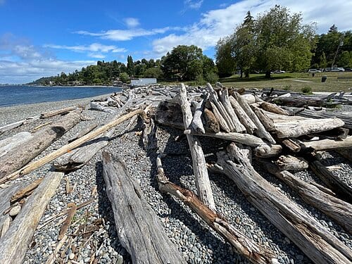 Lowman Beach Park (Seattle)