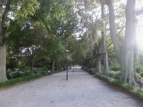 A walkway in Hampton Park, Charleston, SC.