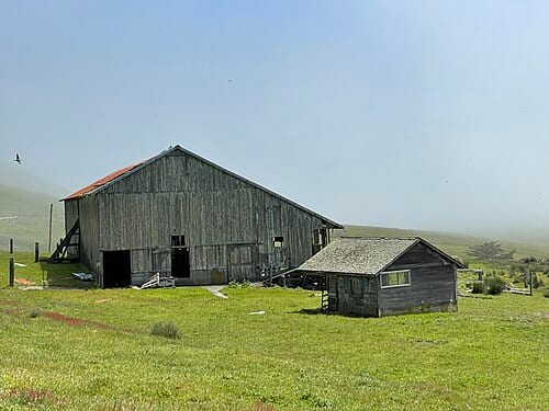 Historic ranch buildings within The Wildlands Conservancy’s Estero Americano Coast Preserve in Sonoma County, California. Structures on the former Bottarini Ranch are being removed or repurposed as part of the preserve’s restoration and public access planning.