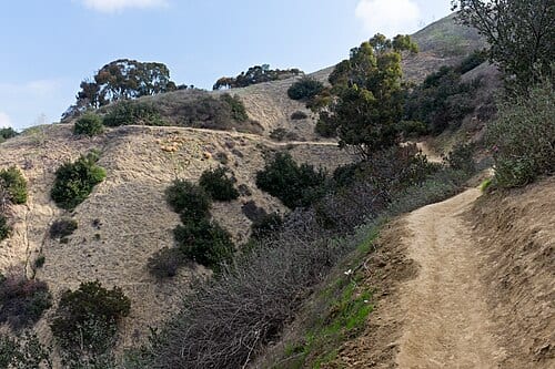 Mariposa Trail in Hellman Wilderness Park — in the Puente Hills near Whittier, eastern Los Angeles County, California. California chaparral and woodlands habitat.