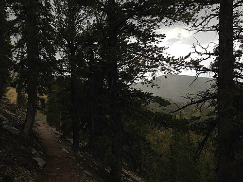 View down the Bristlecone Trail and the Glacier Trail in Great Basin National Park, Nevada