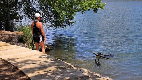 While dogs must be leashed on most of the Ann and Roy Butler Hike-and-Bike- Trail, there are a few leash free zones. Your pet can retrieve a stick or ball in Lady Bird Lake, but it is illegal for people to swim in the lake due to poor water quality from the run-off from area streets and debris in…