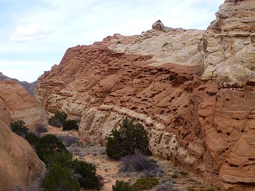 Cohab Canyon , DyeClan.com
