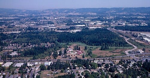 An aerial view of the Tualatin Hills Nature Park and vicinity in 1998, looking north. The Tualatin Valley Highway runs across the frame in the foreground.