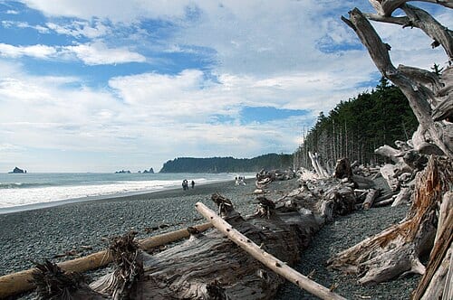 Rialto Beach, Olympic National Park, Washington, looking to the north.