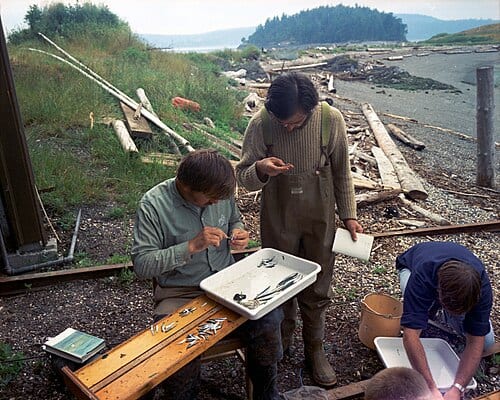 Fish study on Kiket Island, Washington, U.S., 1972. At the time the island was being considered as a site for a nuclear power plant, a plan that was ultimately scrapped due to environmental concerns.