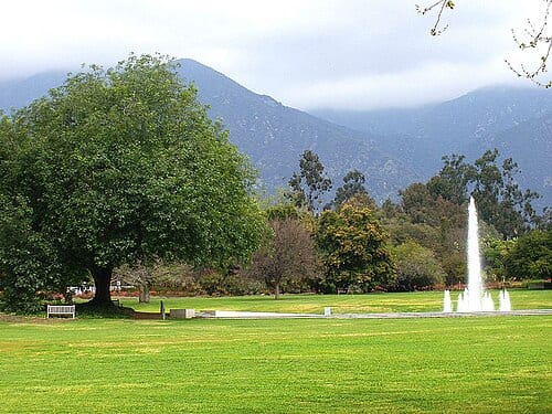 Los Angeles County Arboretum; Central fountain in arboretum with view of the San Gabriel Mountains behind.