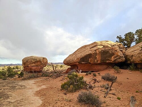 I set off on a road trip that would include driving Shafer Trail and Potash Road through Canyonlands National Park. When I made it back to pavement I raced over to the southern entrance to take in the Needles District and go to the end of the road, with a quick stop at Newspaper Rock. Canyonlands…