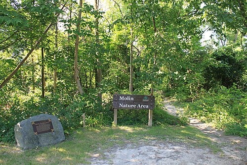 Molin Nature Area, Columbia Avenue & Powell Avenue, Ann Arbor, Michigan