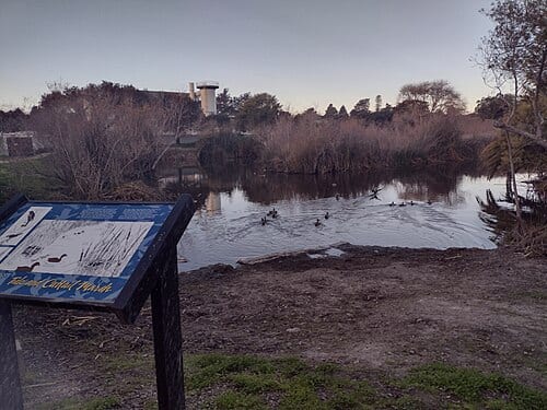 Neary Lagoon