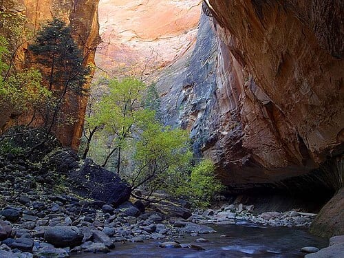 The Narrows , Zion National Park, Utah, US.