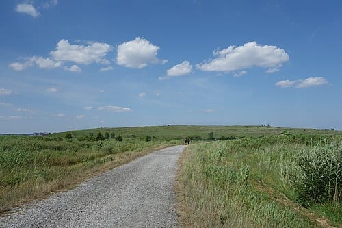 Looking down the trail leading east towards Penn Pier from the junction of the Oystercatcher and Peregrine Trails near the south end of the Penn Park section of Shirley Chisholm State Park, south of the Belt Parkway and Pennsylvania Avenue across from Starrett City in Spring Creek, Brooklyn.