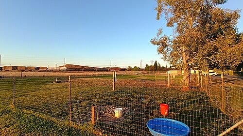 Fenced area for off-leash dogs. Located within Foskett Regional Park.