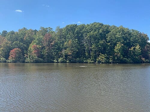 Taken from the Goodwin Lake fishing pier, some red maples are visible. Twin Lakes State Park www.dcr.virginia.gov/state-parks/twin-lakes