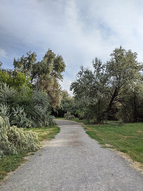 Big Cottonwood Regional Park Holladay Lions Area