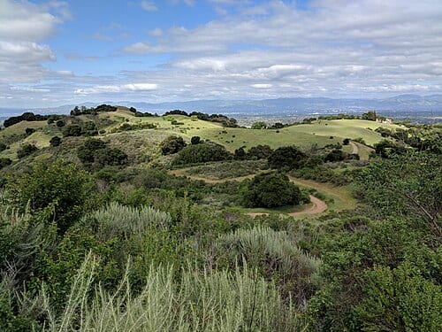 Fremont Older Open Space Preserve