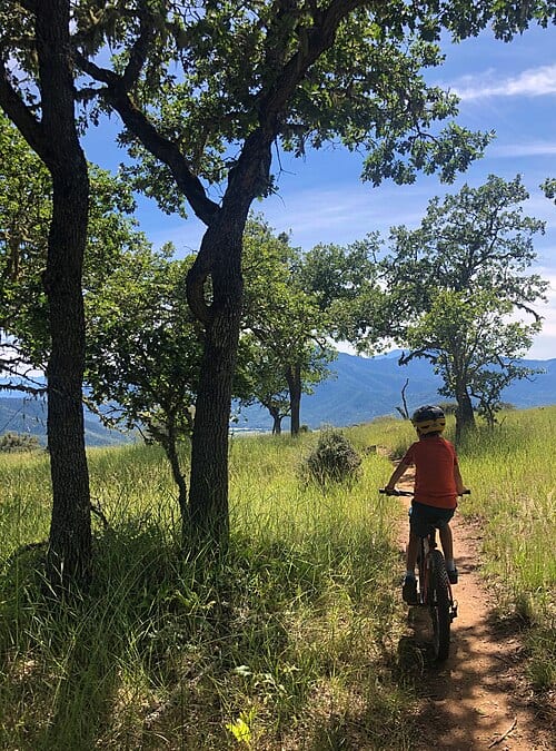 Soaking up the blue skies on the East Applegate Ridge Trail in southwest Oregon, June 18, 2020. BLM photos: Chamise Kramer The East Applegate Ridge Trail is a multiuse, nonmotorized trail in the Applegate Valley that provides for a great family-friendly experience! The approximately 5-mile-long…