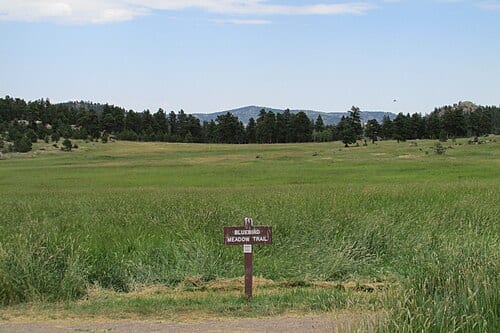 Bluebird Meadow at Alderfer/Three Sisters Park in Evergreen, Colorado.