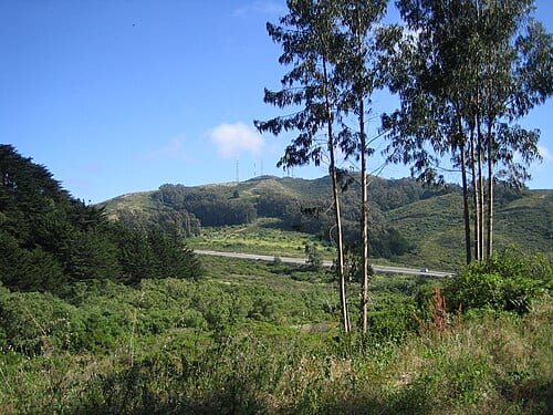 Photo of San Bruno Mountain State and County Park