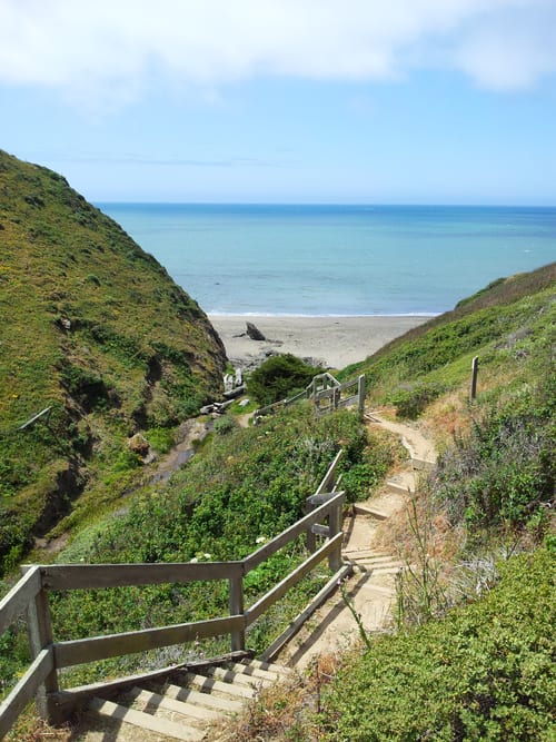 The lower end of Sonoma County Regional Parks Department Shorttail Gulch Coastal Access Trail south of Bodega Bay, California.