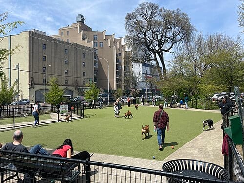 Kensington Dog Run Brooklyn NYC