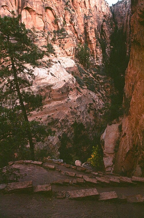 Walter's Wiggles, Angels Landing Trail
