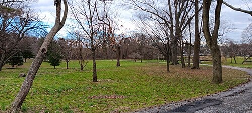 A field, walking path and small forested area in Crocheron Park