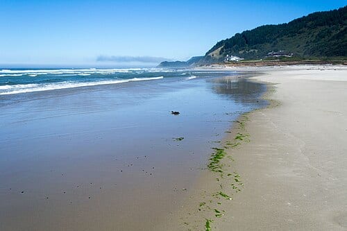 Stonefield Beach on the central Oregon Coast