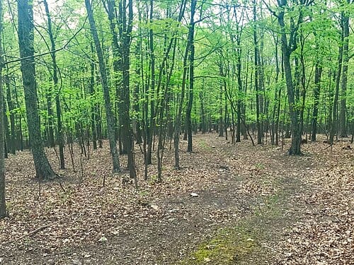 Seven Bends State Park