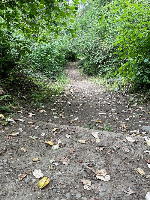 North Shorewood Park in Seattle.