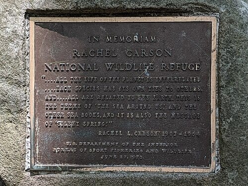 Photo of the dedication plaque for Rachel Carson National Wildlife Refuge, in Maine. Transcript below: In memoriam Rachel Carson National Wildlife Refuge "....All the life of the planet is interrelated ....each species has its own ties to others, and....all are related to the Earth. This is the…