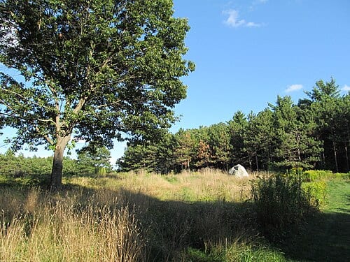 Upper Meadow, Doyle Community Park, Leominster Massachusetts