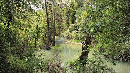 The Medina River at Medina River Natural Area in San Antonio, Texas, United States.