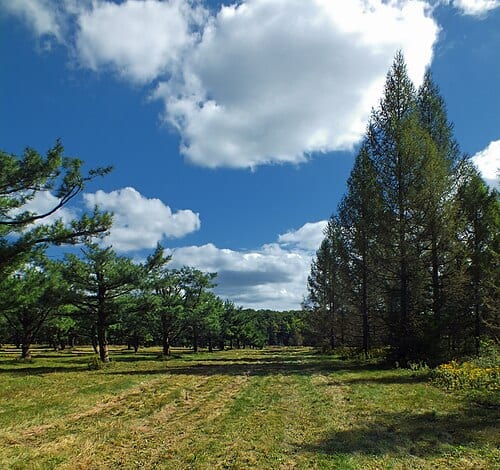 S.B. Elliott State Park, Clearfield County.