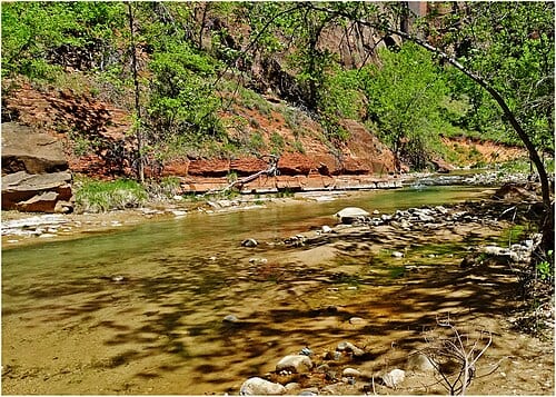 (1 in a multiple picture album) Walking the River Walk Trail in Zion is a mistake. It is crowded on the paved trail and the river is hidden below. Get off the trail and go down along the Virgin River to reach the narrows. You will see so much more beauty. This shady spot was a wonderful place to…