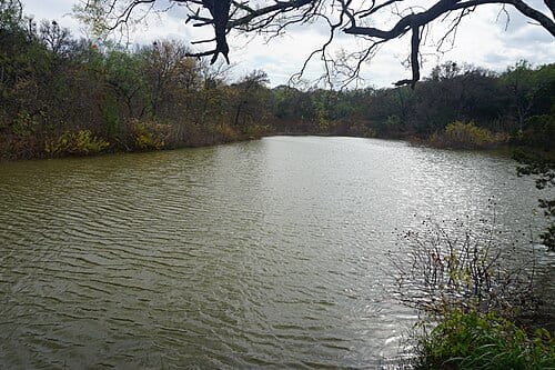 The Duck Pond at Cedar Hill State Park in Dallas County , Texas ( United States ).