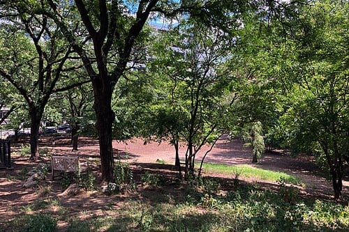 Hillside Dog Park, Brooklyn, New York, US