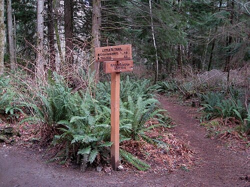 Sign for Boulder Garden trail loop and Little Si Top Sign: LITTLE SI TRAIL 🠼 LITTLE SI SUMMIT 1.9 🠾 TRAILHEAD 0.3 Bottom Sign: BOULDER GARDEN LOOP TRAIL 1.5 🠾