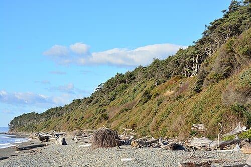 Beach 2, Kalaloch, Washington, U.S.