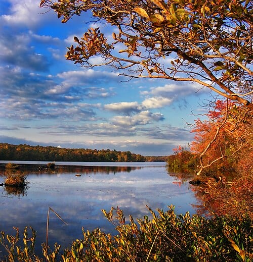 Tobyhanna Lake, Tobyhanna State Park, Monroe County.