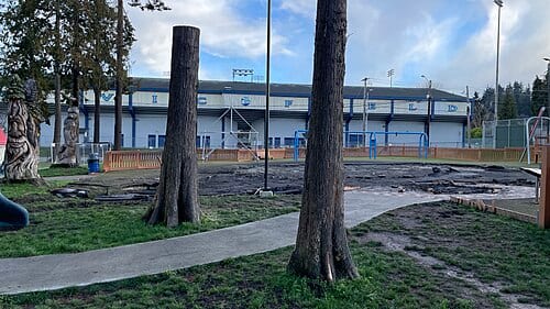 On 20 December 2023, a fire destroyed majority of the majority of the playground in Erickson Playfield. This image shows the extent of the burned area. The burned rubble has already been removed from the area.