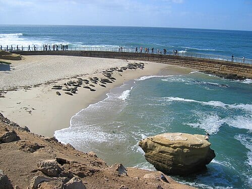 Children's pool, La Jolla, California.