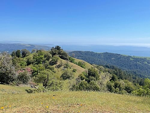 View from Pole Mountain across The Wildlands Conservancy’s Jenner Headlands Preserve toward the Pacific coast in Sonoma County, California.