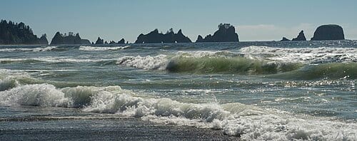 Shi Shi is a crescent beach, about 2.5 miles long, on the southern end of Makah Bay. There’s a parking lot, for which you must buy a permit, on the southern end of the reservation. From there it’s a two mile walk to the beach. Much of the first part is on a boardwalk. After that, it can get muddy.…