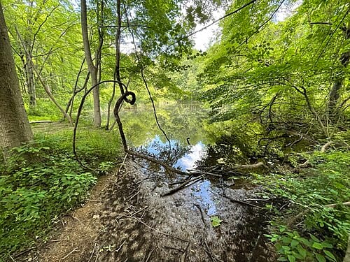 The Peaceful Pond at Patapsco Valley State Park. It is located near park headquarters. It is a manmade body of water.
