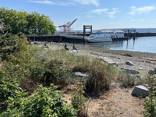 Seattle (July 2023)