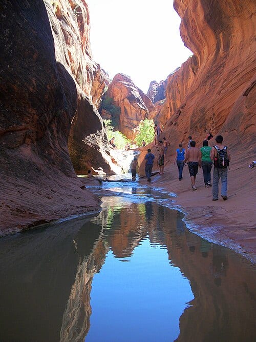 Red Reef Trail in Red Cliffs Recreation Area