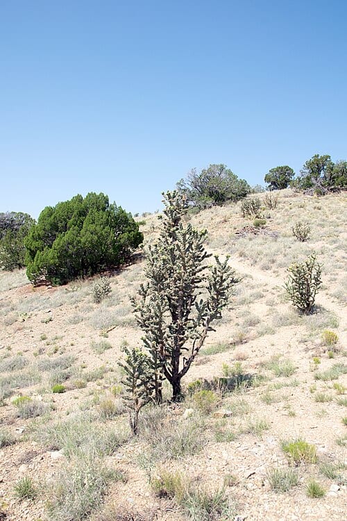 Cerrillos Hills State Park